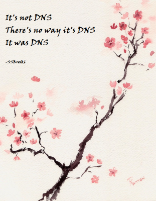 IMG_3559.PNG