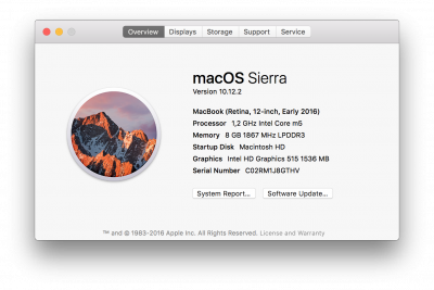 Screen Shot 2017-01-23 at 09.45.22.png