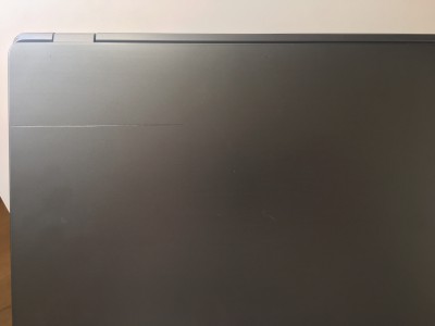 acer.jpg