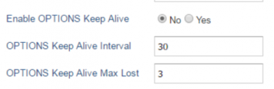 GrandstreamNatKeepAliveA.png