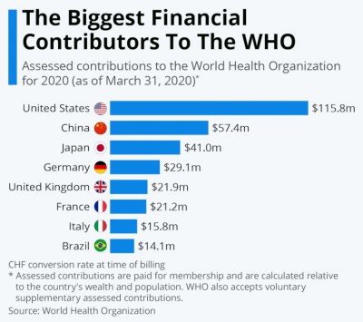 WHOcontributions.jpeg
