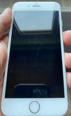 foto1.JPEG