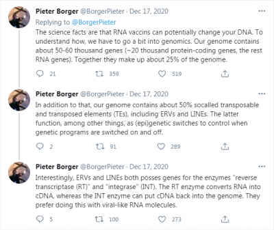 borger-mrna-dna.png
