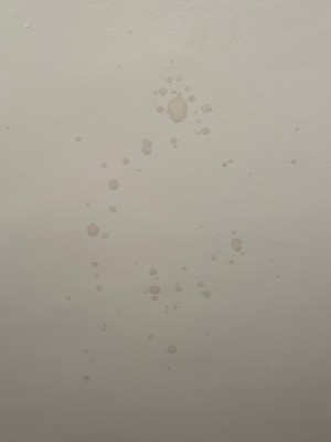 IMG_0312-1.jpeg