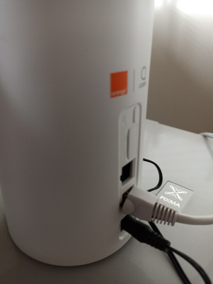 IMG_20220302_152841.jpeg