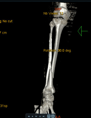 WhatsApp Image 2025-10-27 at 15.18.27_9c762c03.jpg