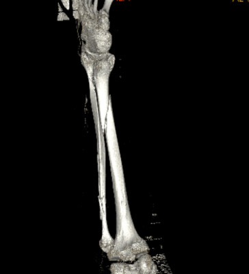 WhatsApp Image 2025-10-27 at 15.18.19_708d87b3.jpg