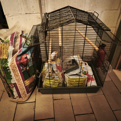 WhatsApp Image 2025-12-16 at 22.18.46.jpeg