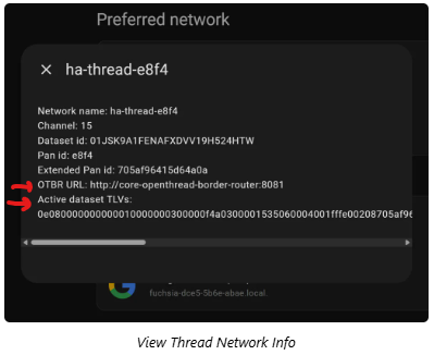 preferred network voorbeeld.png