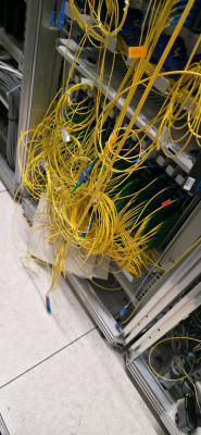 20260206_135302.jpg